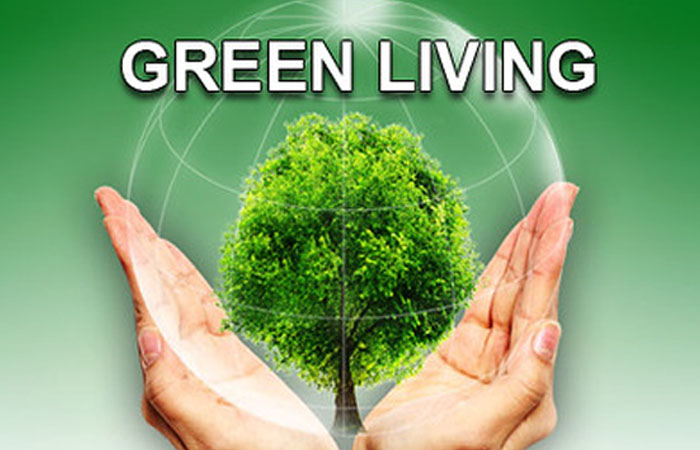 How To Live A Greener Lifestyle Newstricky